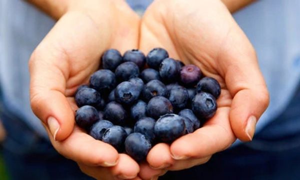 Benefits of blueberry in cosmetics 