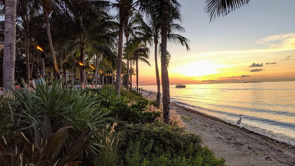 Top 10 Places to Visit in the USA in February